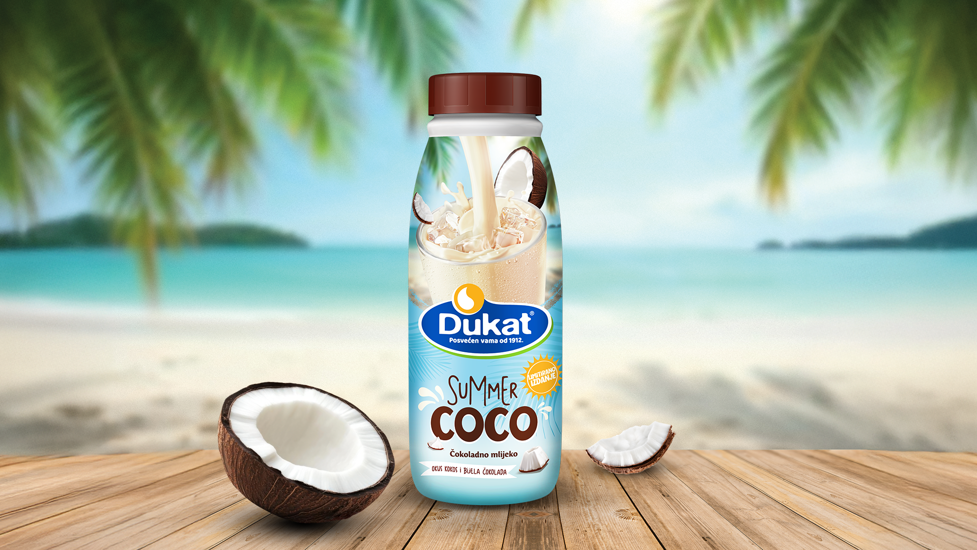 Love Coco hero